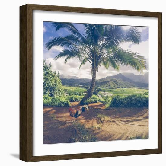 Hanalei Chicken Landscape, Kauai Hawaii-Vincent James-Framed Photographic Print