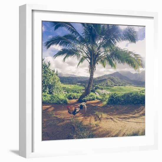 Hanalei Chicken Landscape, Kauai Hawaii-Vincent James-Framed Photographic Print