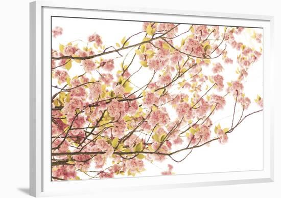 Hanami II-Katja Marzahn-Framed Giclee Print