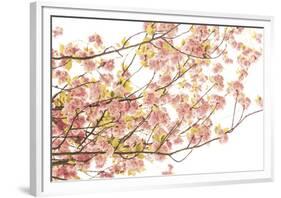 Hanami II-Katja Marzahn-Framed Giclee Print