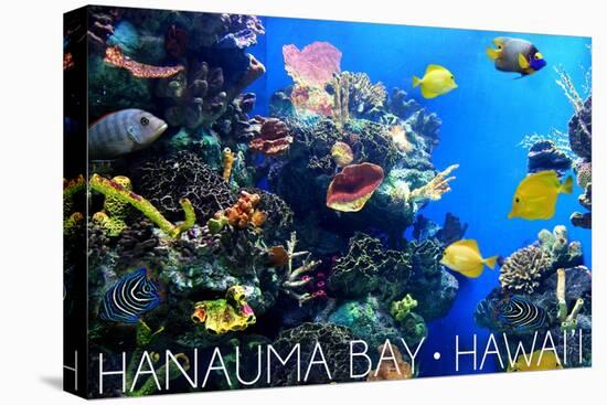 Hanauma Bay, Hawai'i - Fish and Coral 1-Lantern Press-Stretched Canvas