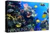 Hanauma Bay, Hawai'i - Fish and Coral 1-Lantern Press-Stretched Canvas