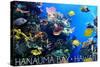 Hanauma Bay, Hawai'i - Fish and Coral 1-Lantern Press-Stretched Canvas