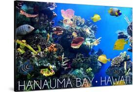 Hanauma Bay, Hawai'i - Fish and Coral 1-Lantern Press-Stretched Canvas