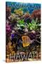 Hanauma Bay, Hawai'i - Fish and Coral 2-Lantern Press-Stretched Canvas