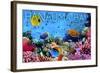 Hanauma Bay, Hawai'i - Fish and Coral 3-Lantern Press-Framed Art Print