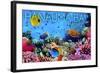 Hanauma Bay, Hawai'i - Fish and Coral 3-Lantern Press-Framed Art Print