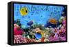 Hanauma Bay, Hawai'i - Fish and Coral 3-Lantern Press-Framed Stretched Canvas