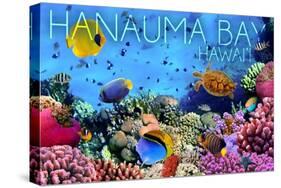 Hanauma Bay, Hawai'i - Fish and Coral 3-Lantern Press-Stretched Canvas