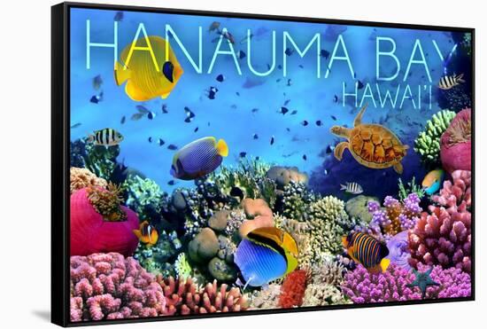 Hanauma Bay, Hawai'i - Fish and Coral 3-Lantern Press-Framed Stretched Canvas