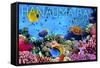 Hanauma Bay, Hawai'i - Fish and Coral 3-Lantern Press-Framed Stretched Canvas