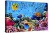 Hanauma Bay, Hawai'i - Fish and Coral 3-Lantern Press-Stretched Canvas