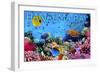 Hanauma Bay, Hawai'i - Fish and Coral 3-Lantern Press-Framed Art Print