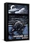 Hanauma Bay, Hawai'i - Sea Turtle - Scratchboard-Lantern Press-Framed Stretched Canvas