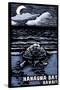 Hanauma Bay, Hawai'i - Sea Turtle - Scratchboard-Lantern Press-Stretched Canvas