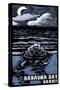 Hanauma Bay, Hawai'i - Sea Turtle - Scratchboard-Lantern Press-Stretched Canvas