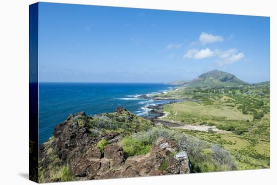 Hanauma Bay Nature Reserve, South Shore, Oahu, Hawaii, United States of America, Pacific-Michael DeFreitas-Stretched Canvas