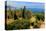 Hanbury Botanic Gardens near Ventimiglia, Province of Imperia, Liguria, Italy-null-Stretched Canvas