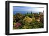 Hanbury Botanic Gardens near Ventimiglia, Province of Imperia, Liguria, Italy-null-Framed Art Print