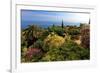 Hanbury Botanic Gardens near Ventimiglia, Province of Imperia, Liguria, Italy-null-Framed Art Print