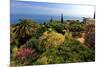 Hanbury Botanic Gardens near Ventimiglia, Province of Imperia, Liguria, Italy-null-Mounted Art Print