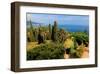 Hanbury Botanic Gardens near Ventimiglia, Province of Imperia, Liguria, Italy-null-Framed Art Print