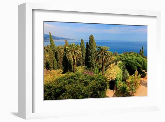 Hanbury Botanic Gardens near Ventimiglia, Province of Imperia, Liguria, Italy-null-Framed Art Print