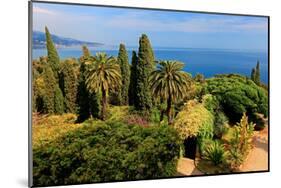 Hanbury Botanic Gardens near Ventimiglia, Province of Imperia, Liguria, Italy-null-Mounted Art Print