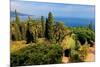 Hanbury Botanic Gardens near Ventimiglia, Province of Imperia, Liguria, Italy-null-Mounted Art Print