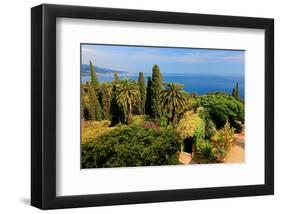 Hanbury Botanic Gardens near Ventimiglia, Province of Imperia, Liguria, Italy-null-Framed Art Print