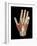 Hand Anatomy, Artwork-Jose Antonio-Framed Photographic Print