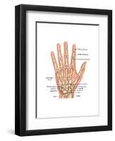 Hand Anatomy, Illustration-Gwen Shockey-Framed Art Print