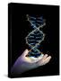 Hand And DNA Molecule-PASIEKA-Stretched Canvas
