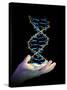 Hand And DNA Molecule-PASIEKA-Stretched Canvas