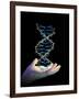 Hand And DNA Molecule-PASIEKA-Framed Photographic Print