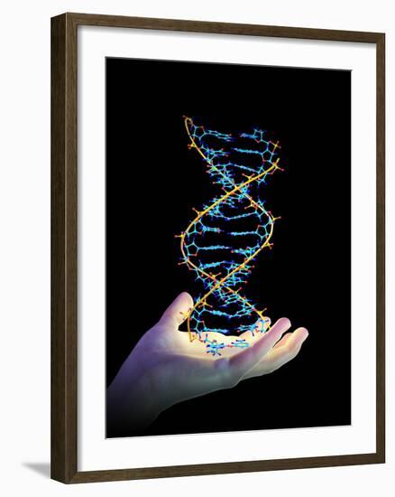 Hand And DNA Molecule-PASIEKA-Framed Photographic Print