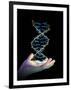 Hand And DNA Molecule-PASIEKA-Framed Photographic Print