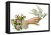 Hand and Dove-null-Framed Stretched Canvas