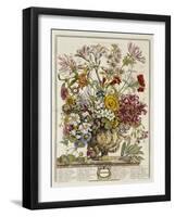 Hand Colored Engraving of Bouquet- October, 1730-Robert Furber-Framed Giclee Print