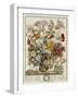 Hand Colored Engraving of Bouquet- October, 1730-Robert Furber-Framed Giclee Print