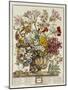 Hand Colored Engraving of Bouquet- October, 1730-Robert Furber-Mounted Giclee Print