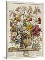 Hand Colored Engraving of Bouquet- October, 1730-Robert Furber-Stretched Canvas