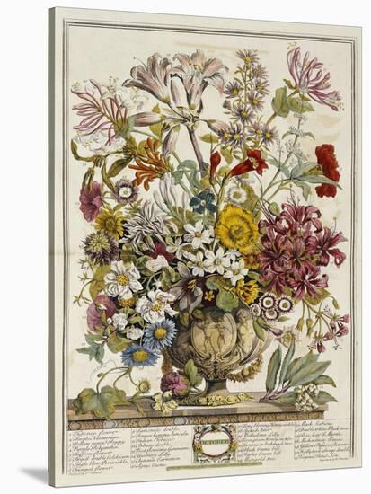 Hand Colored Engraving of Bouquet- October, 1730-Robert Furber-Stretched Canvas