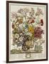 Hand Colored Engraving of Bouquet- October, 1730-Robert Furber-Framed Giclee Print