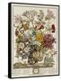 Hand Colored Engraving of Bouquet- October, 1730-Robert Furber-Framed Stretched Canvas