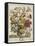 Hand Colored Engraving of Bouquet- October, 1730-Robert Furber-Framed Stretched Canvas