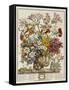 Hand Colored Engraving of Bouquet- October, 1730-Robert Furber-Framed Stretched Canvas