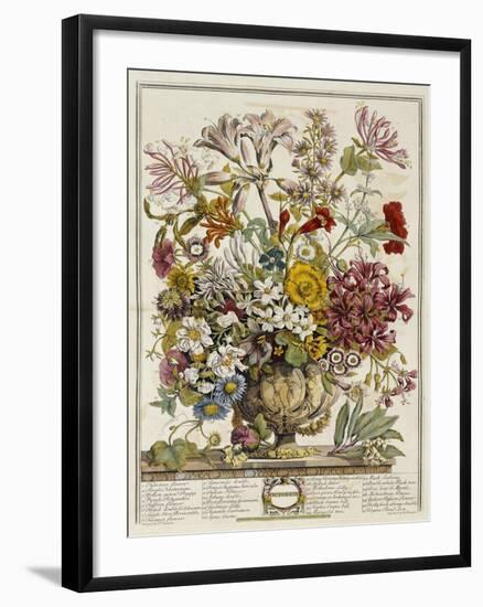 Hand Colored Engraving of Bouquet- October, 1730-Robert Furber-Framed Giclee Print