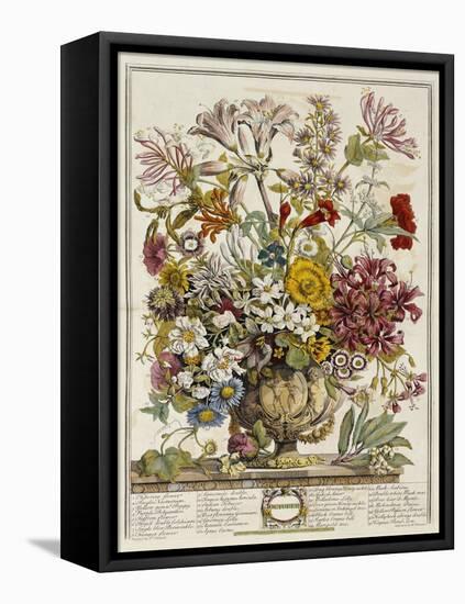 Hand Colored Engraving of Bouquet- October, 1730-Robert Furber-Framed Stretched Canvas