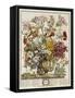 Hand Colored Engraving of Bouquet- October, 1730-Robert Furber-Framed Stretched Canvas